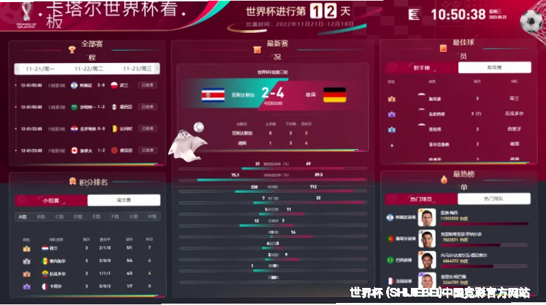 历史命中率展示